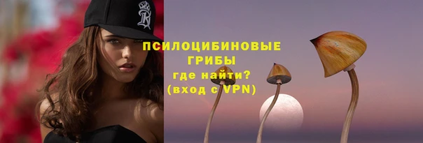 spice Магадан