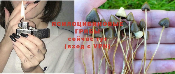 бошки Липки