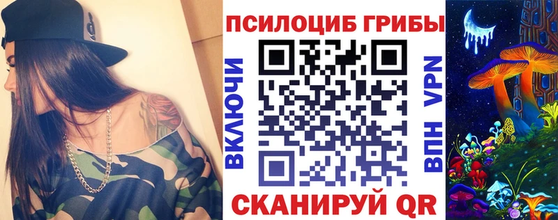 OMG зеркало  Мариинск  Псилоцибиновые грибы прущие грибы 