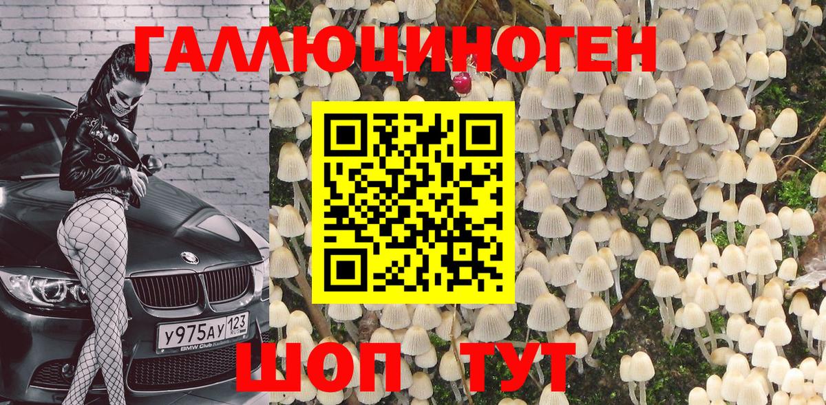 Галлюциногенные грибы GOLDEN TEACHER Мариинск