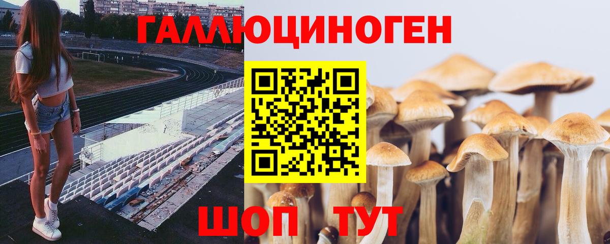 Псилоцибиновые грибы мицелий Мариинск