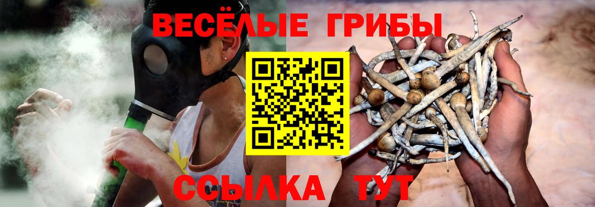 Псилоцибиновые грибы мухоморы  Мариинск 